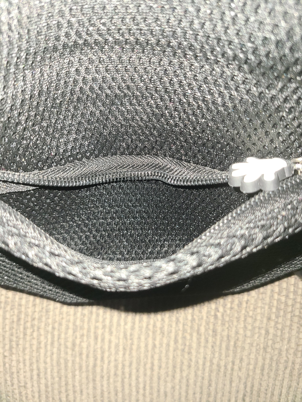 X-small Dog Items - Picture 13 of 16
